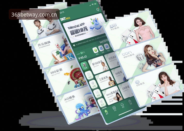 bet365官方网）的页脚处，通常会有当前版本号的显示。确认是否为v3.2.1版本的最直接方式，是在登录后查看账户设置中的